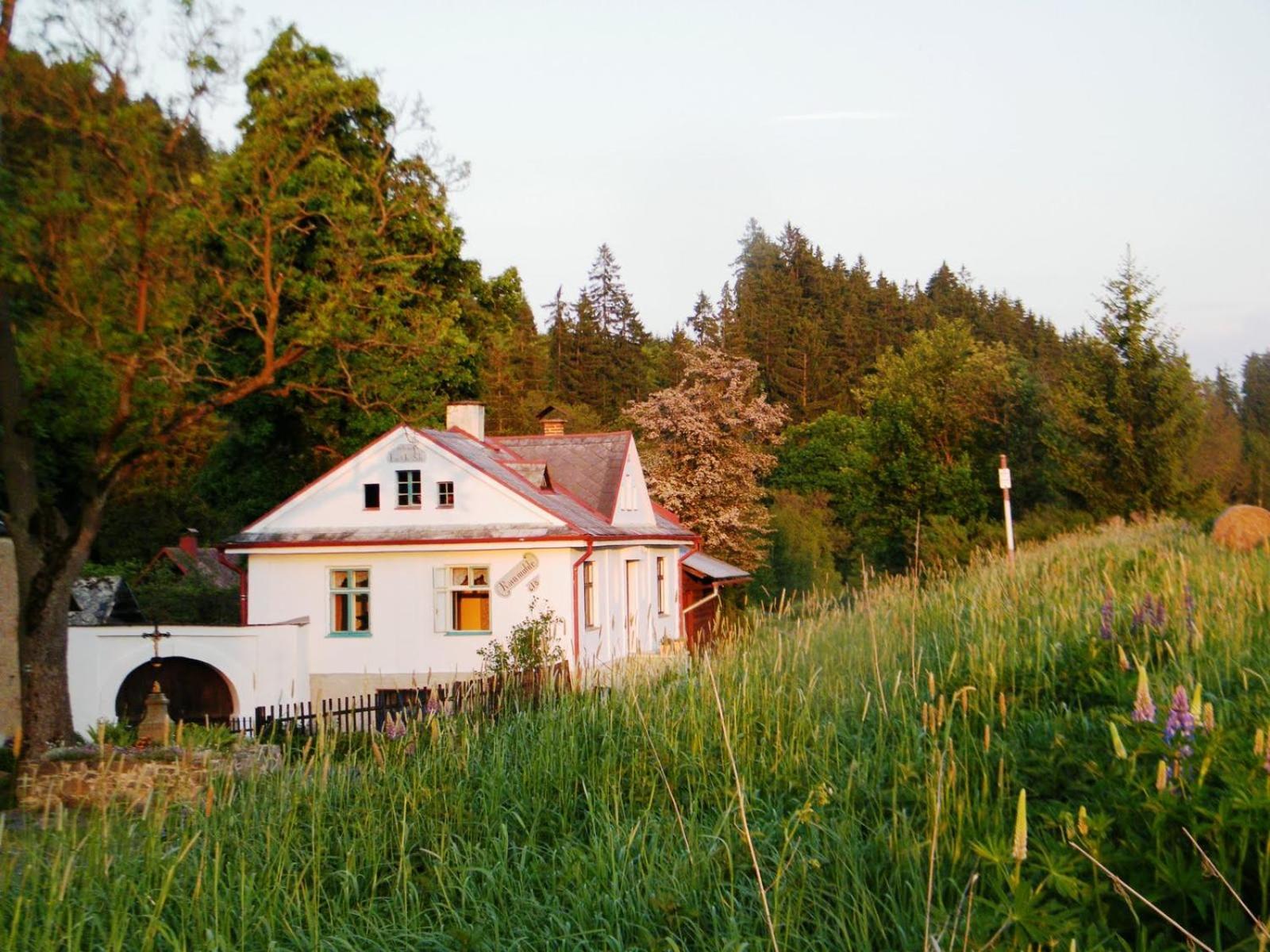 Rainmuehle Villa Mariánské Lázně Exteriör bild