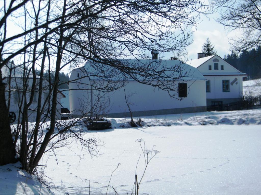Rainmuehle Villa Mariánské Lázně Exteriör bild