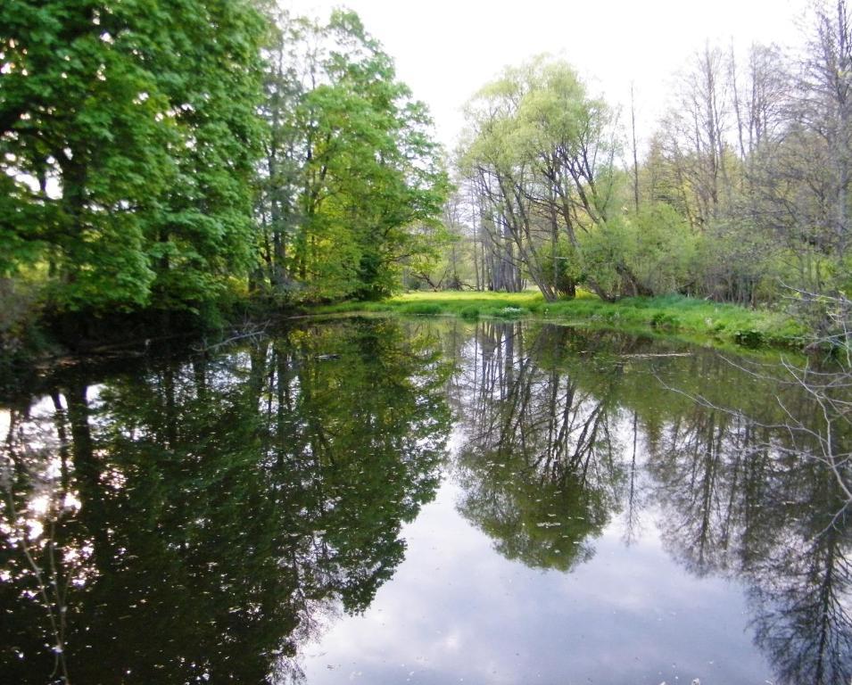 Rainmuehle Villa Mariánské Lázně Exteriör bild